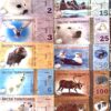 ARCTIC Territories Banknote Set of 14. Beautiful. Read description