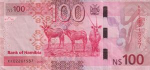 Alternative view of NAMIBIA 100 DOLLARS 2025 P23a Polymer VF